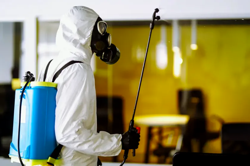 Control de plagas para oficinas en Sant Cugat del Vallès — NaturaPest