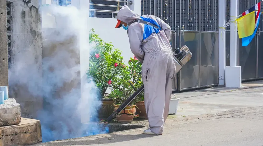 Control de plagas para viviendas particulares en Sant Cugat del Vallès — NaturaPest